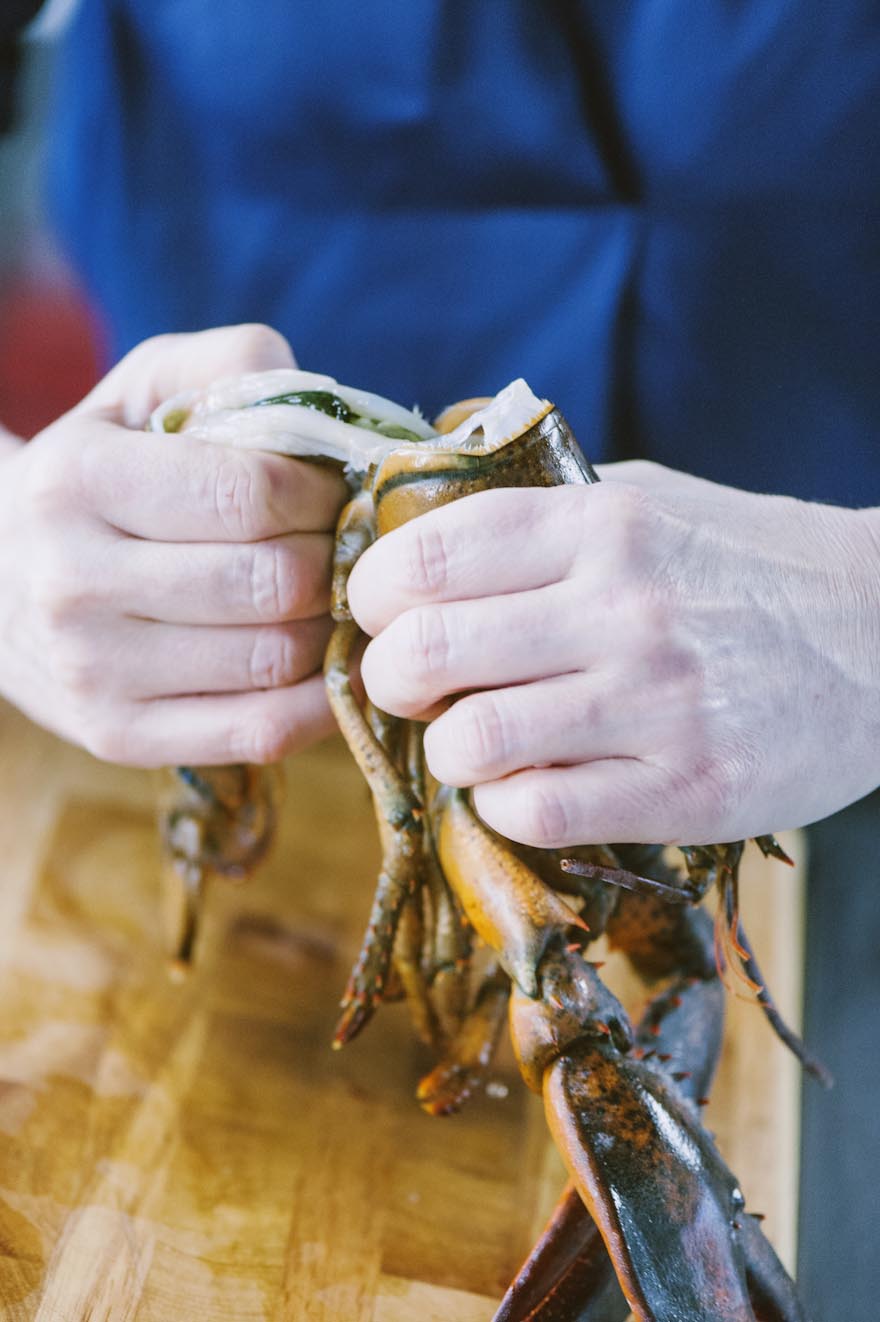 Mani che separano la testa dal corpo di un astice crudo