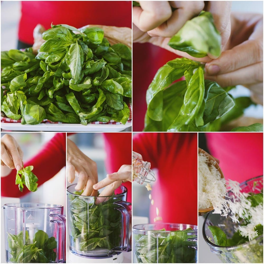 Foglie di basilico e pinoli frullati a intermittenza nel cutter con olio
