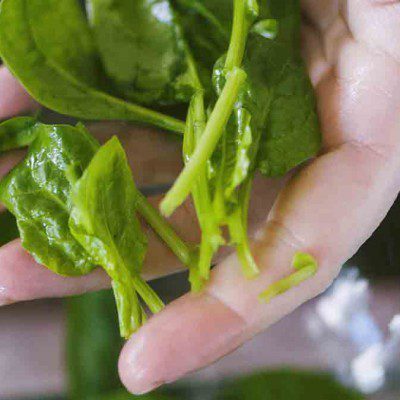 come-pulire-e-cuocere-gli-spinaci-freschi