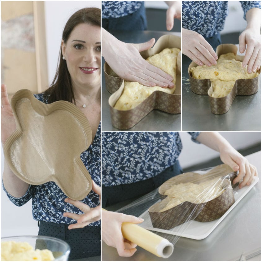 Impasto della colomba sistemato nello stampo, pressato con le mani e coperto con pellicola per la lievitazione