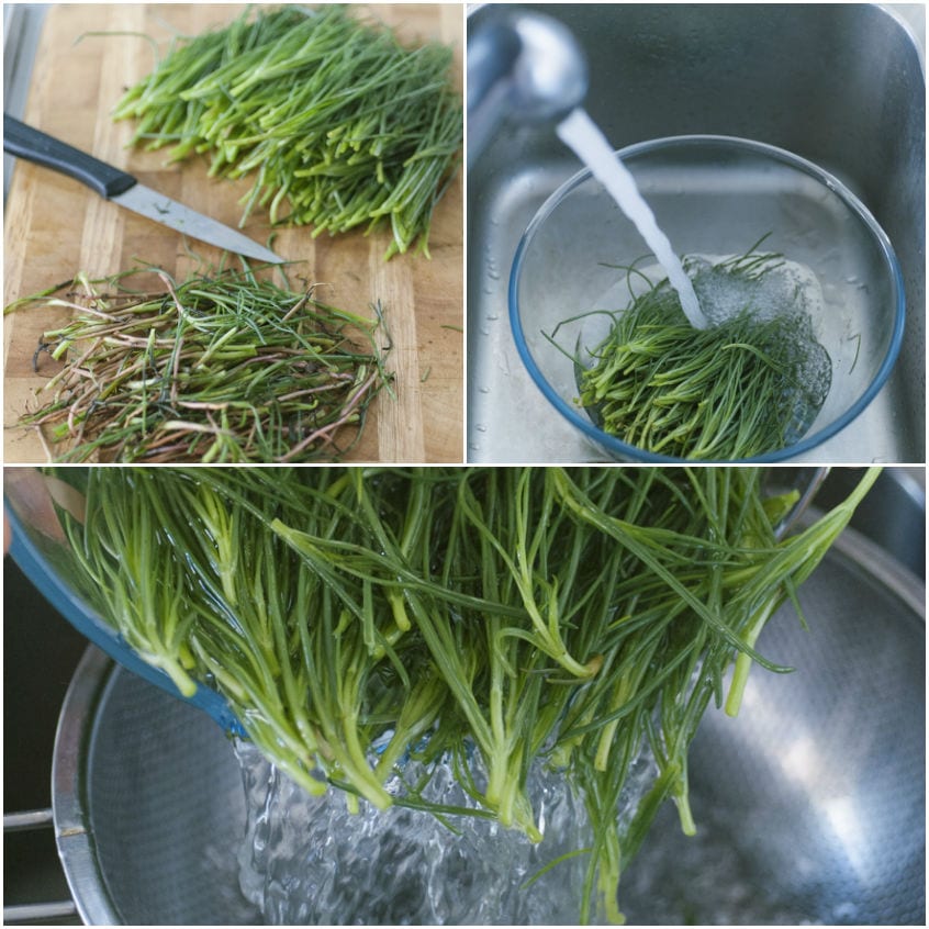 Come pulire gli agretti