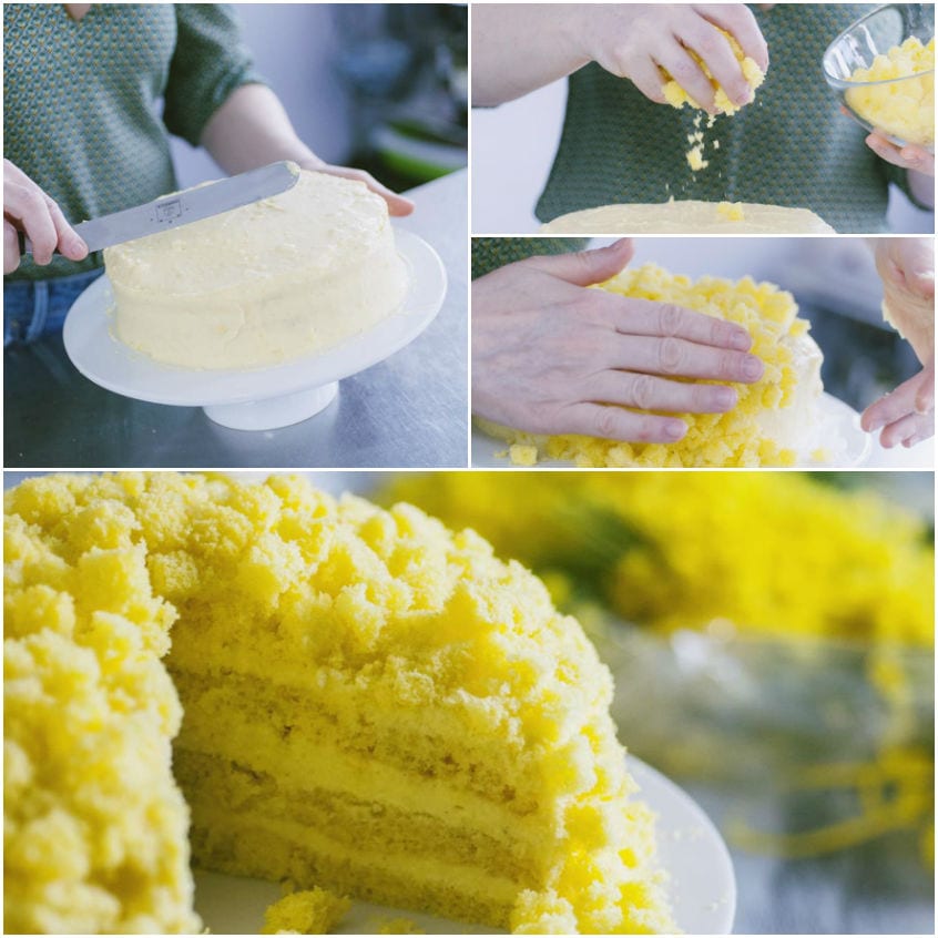 Mani che applicano briciole di pan di Spagna giallo sulla superficie della torta mimosa già farcita