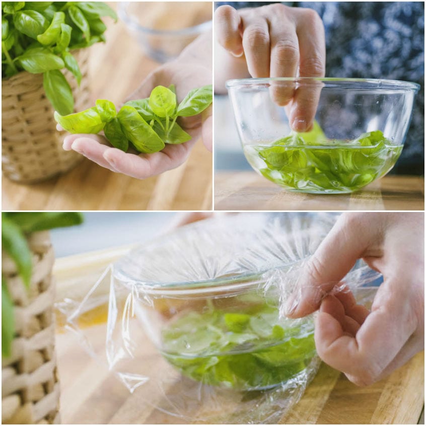 Foglie di basilico in ammollo in acqua, coperte con pellicola trasparente