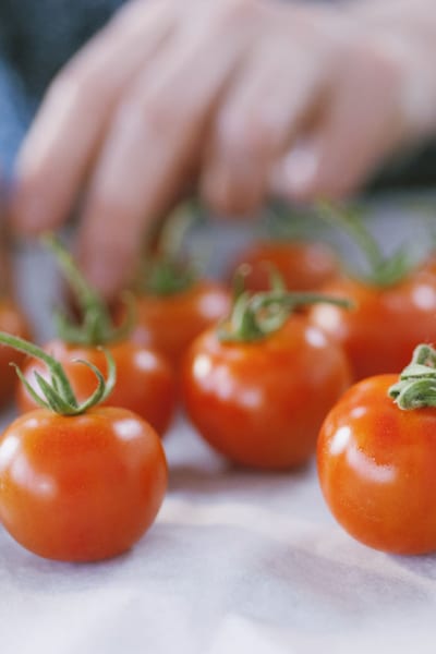 Varietà di pomodori