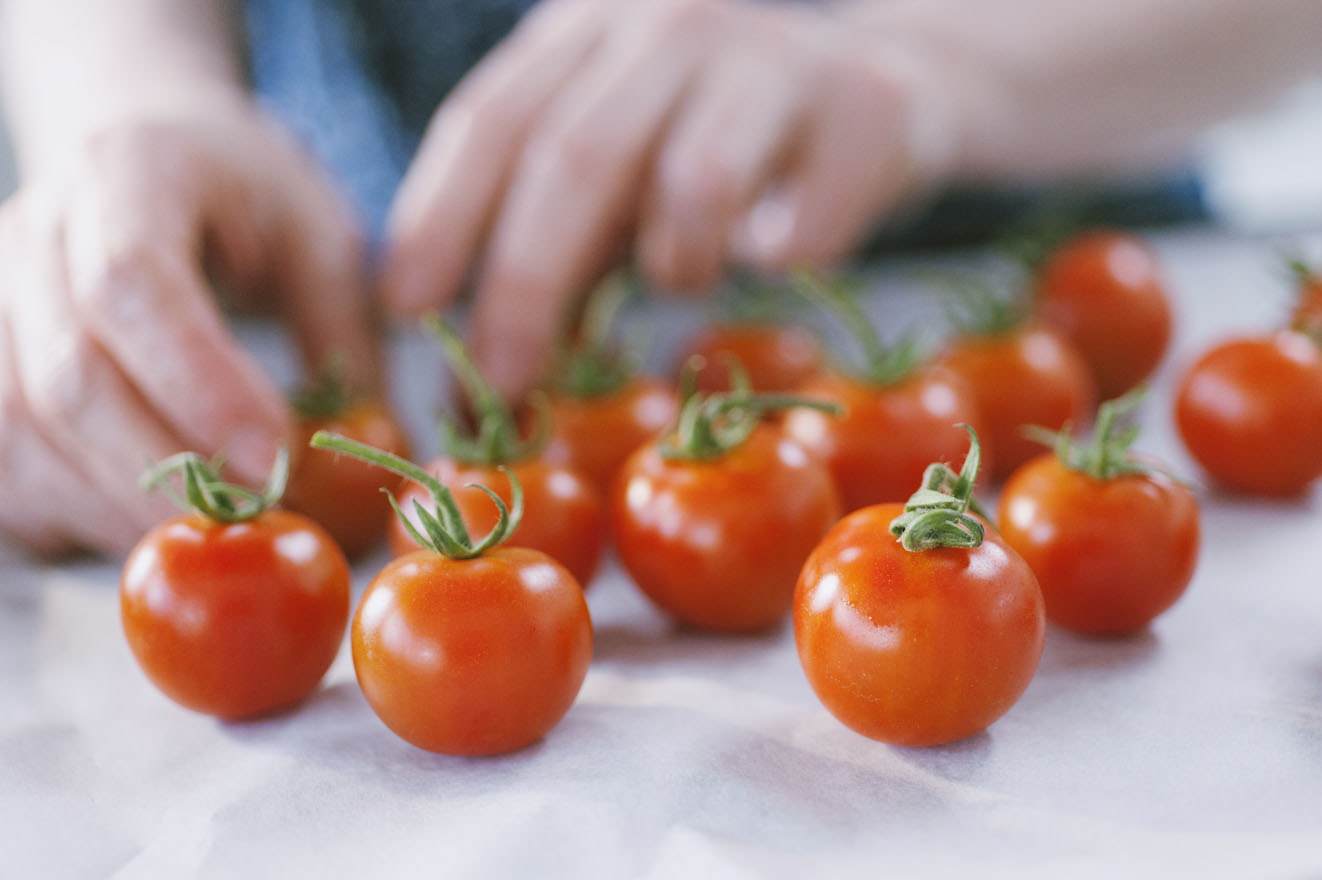 Varietà di pomodori