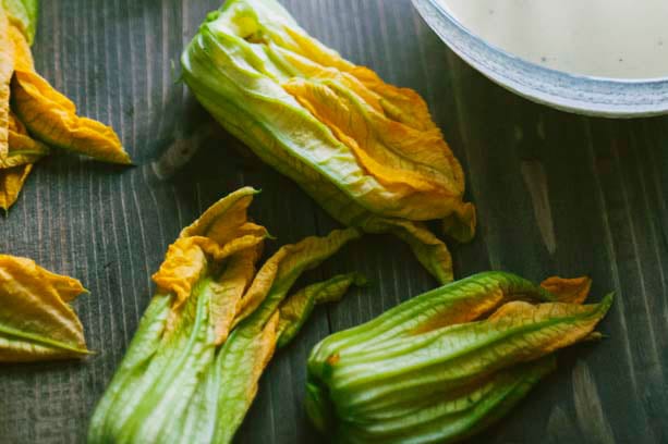 varieta zucchine
