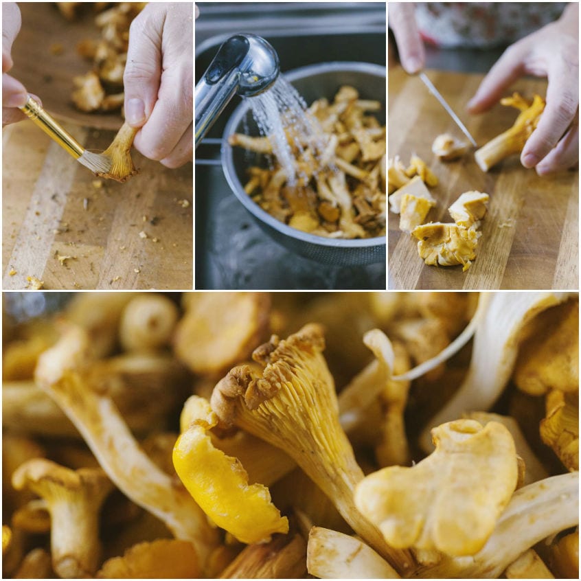 Come pulire i funghi finferli
