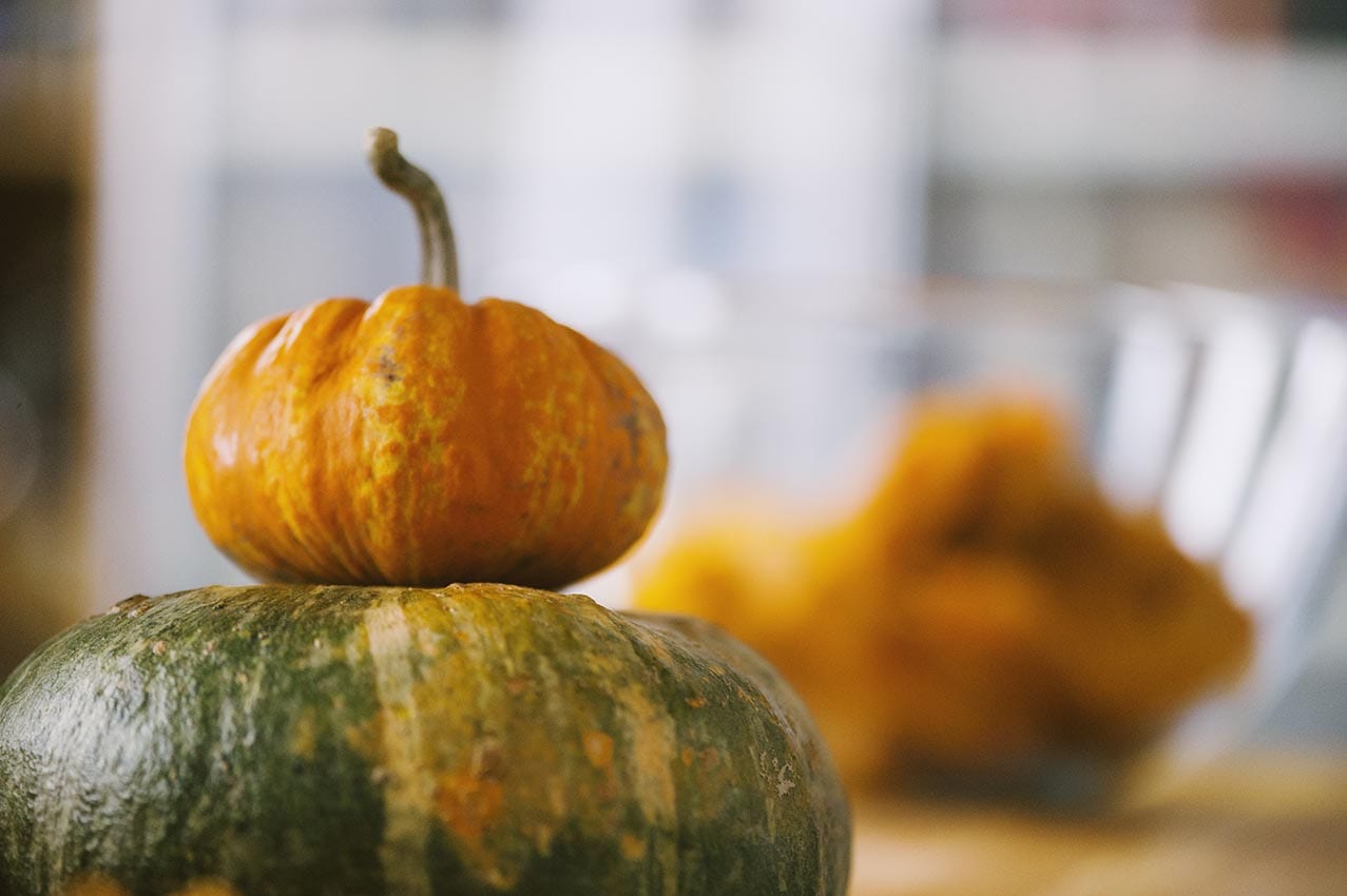 Varieta di zucca
