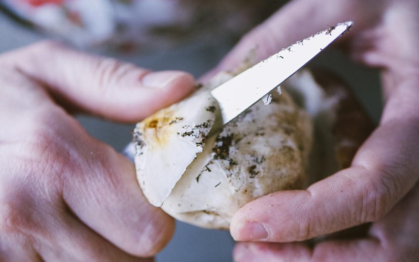 Con il coltellino elimina la punta del gambo, quella sporca di terra, togliendo il meno possibile.