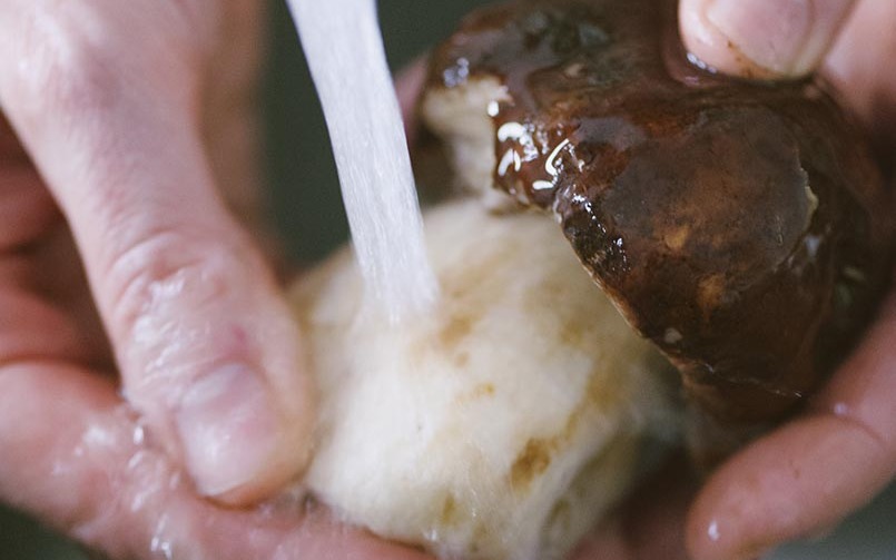 Passa il porcino intero sotto un getto di acqua fredda per pochi secondi, poi appoggialo subito sul canovaccio e tamponalo
