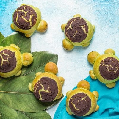 Tartarughine dolci a forma di tartaruga con guscio al cacao craquelé e corpo verde al matcha