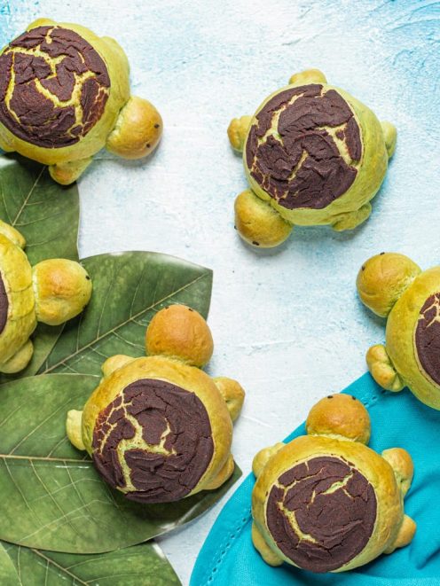 Tartarughine dolci a forma di tartaruga con guscio al cacao craquelé e corpo verde al matcha