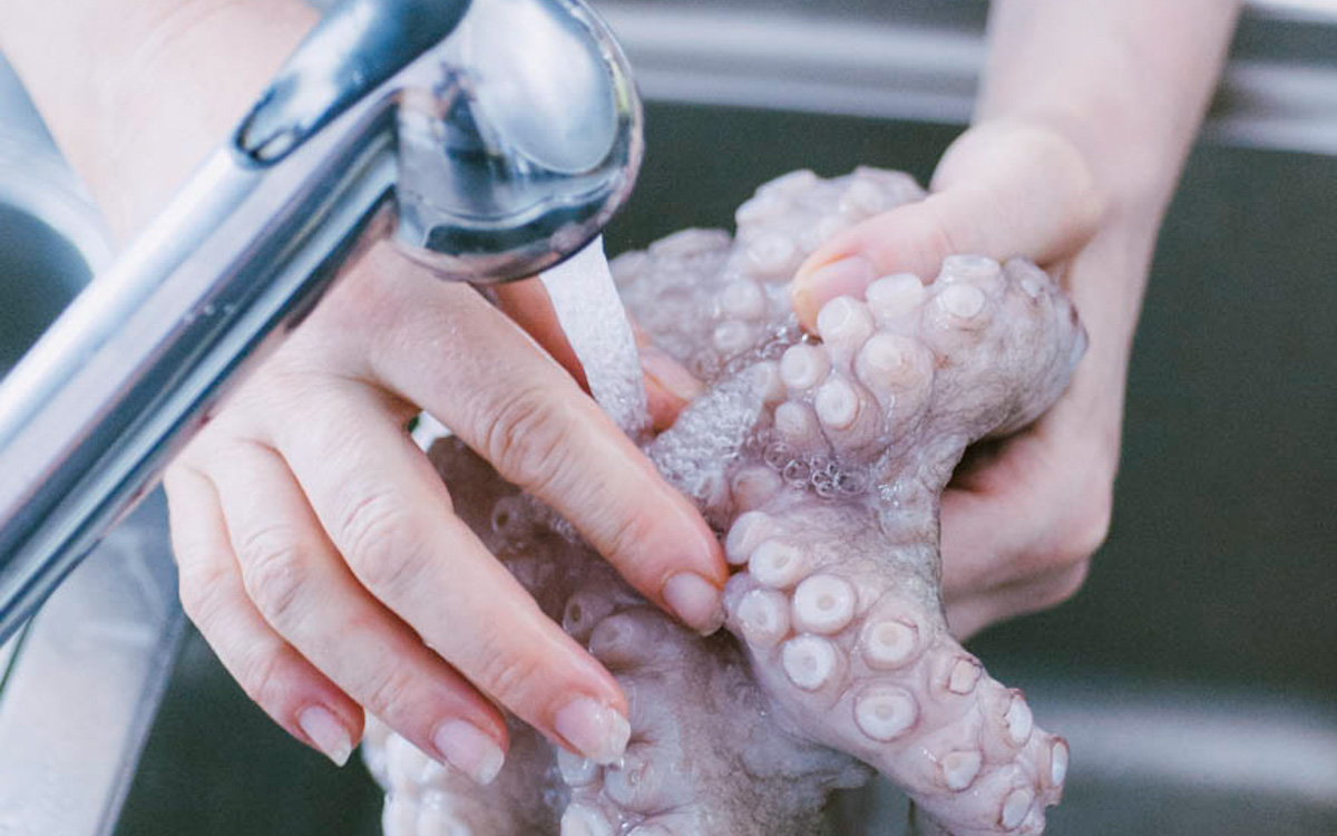 Mani che sciacquano un polpo fresco sotto l'acqua corrente del rubinetto