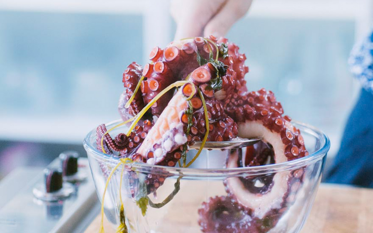 Polpo lessato sollevato con la mano, i tentacoli lucidi e ben cotti sgocciolano sopra una ciotola