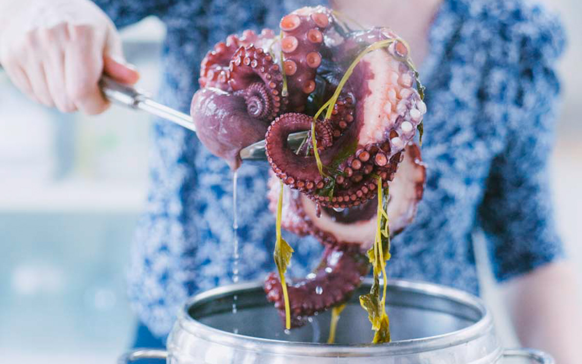Polpo lessato estratto dall'acqua di cottura con le pinze, i tentacoli ancora gocciolanti