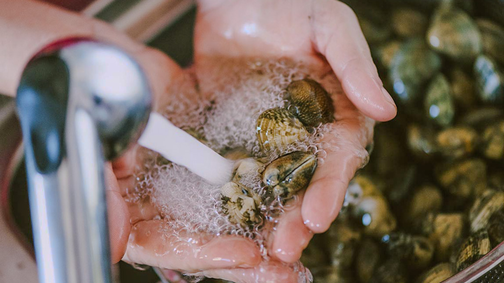 Vongole sciacquate sotto acqua corrente