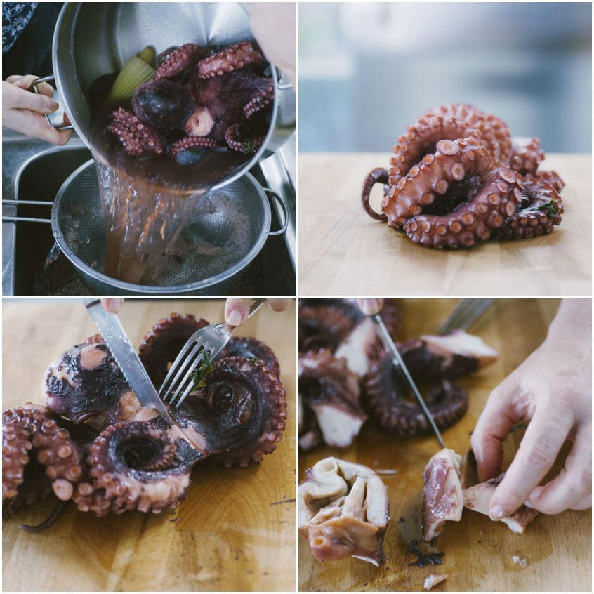 Polpo tiepido scolato con tentacoli interi pronti per essere tagliati a carpaccio