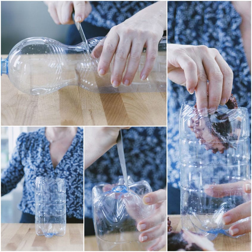 Polpo pressato pezzo per pezzo all'interno di una bottiglia di plastica forata