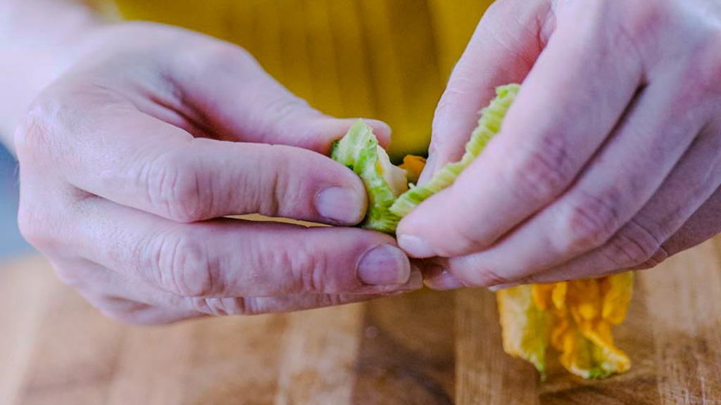 Mani che aprono delicatamente i petali di un fiore di zucca per rimuovere il pistillo