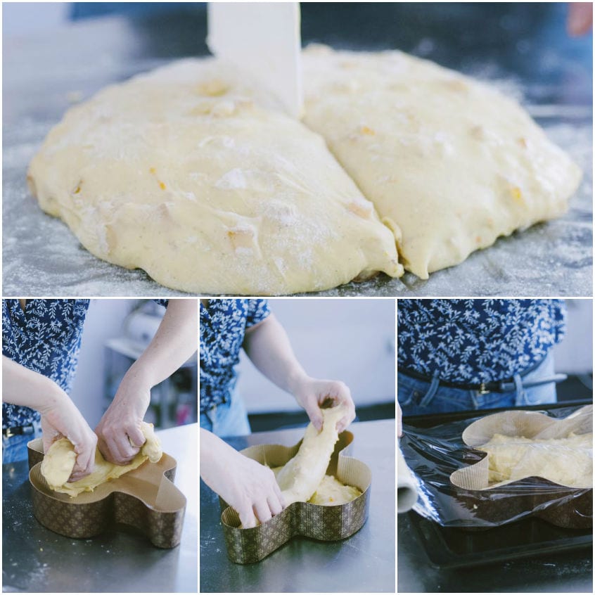 Impasto della colomba diviso e sistemato nello stampo a forma di colomba per la lievitazione