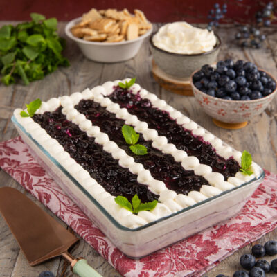 Tiramisù allo yogurt e mirtilli decorato con ciuffi di panna e foglioline di menta fresca