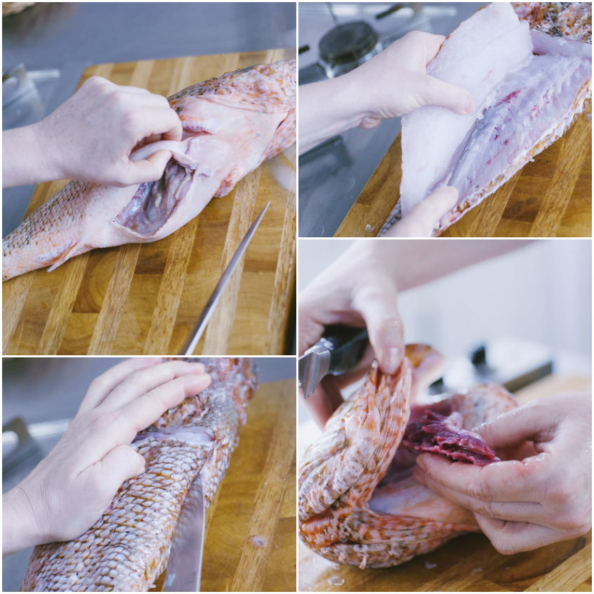 Pulizia e sfilettatura di uno scorfano crudo sul tagliere, con rimozione delle viscere e delle branchie