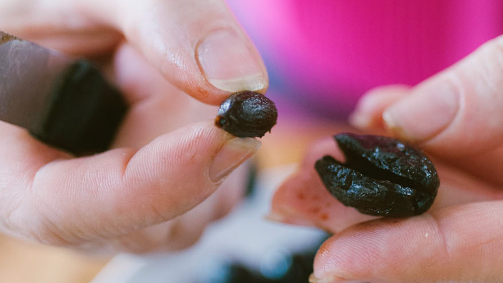 Olive che vengono denocciolate