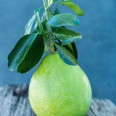 Pomelo